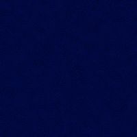 ttTWIRL-CD3890 NAVY
